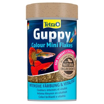 Tetra Guppy colour 100 ml