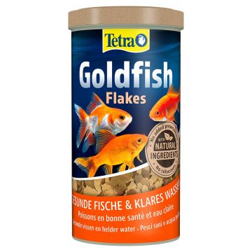 Tetra Goldfish