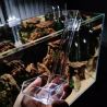 Aqua Noa acrylic feeder 21cm
