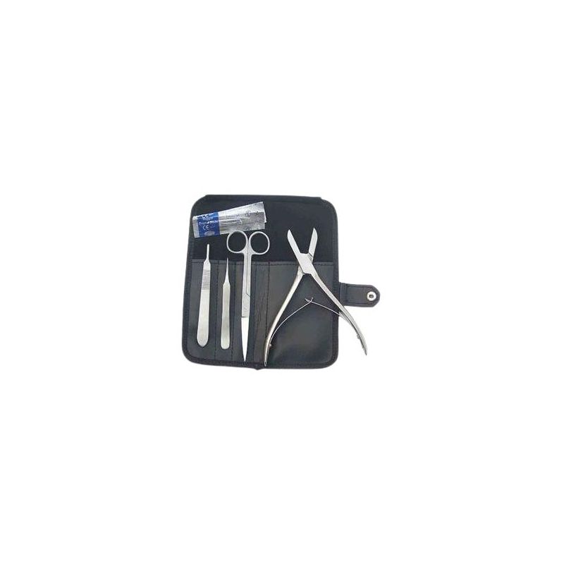 Kit Bouturage Coraux 4pcs
