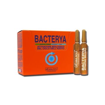 Equo Bacterya