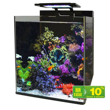 Blue marine reef 60 aquarium
