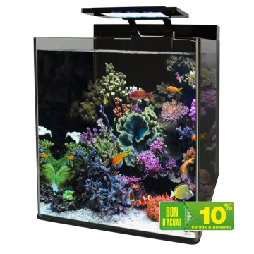 Blue marine Reef 90 aquarium