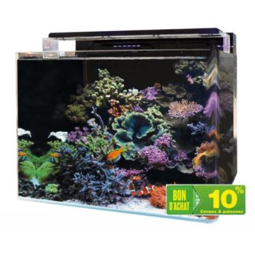 Blue Marine Reef 120