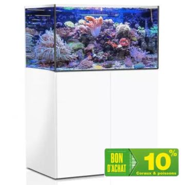 AquaMedic Armatus 300 XD blanc complet avec système de filtration +...