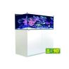 Red Sea aquarium Reefer™ 425 G2+ - Blanc + bon d'achats coraux - po...