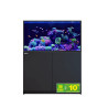Reefer™ S 550 G2+ - Noir