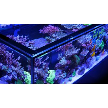Red Sea aquarium Reefer™ S 850 G2+ Deluxe - Noir (3 ReefLED 160S et...