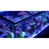 Red Sea aquarium Reefer™ S 850 G2+ Deluxe - Noir (3 ReefLED 160S et...