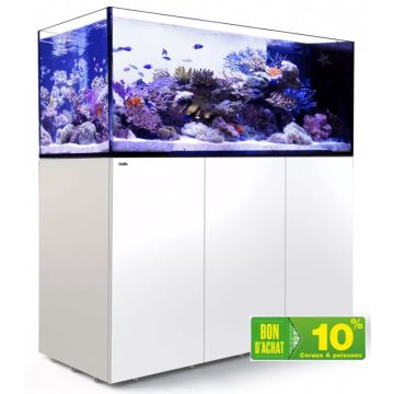 Reefer™ Peninsula 500 G2+