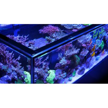 Reefer™ Peninsula S 950 G2+ Deluxe - Noir (3 RL 160S + rampe suspen...