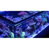 Reefer™ Peninsula S 950 G2+ Deluxe - Noir (3 RL 160S + rampe suspen...