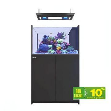 Reefer™ Peninsula 350 G2+ Deluxe - Noir (2 RL 90 + rampe suspendue)...