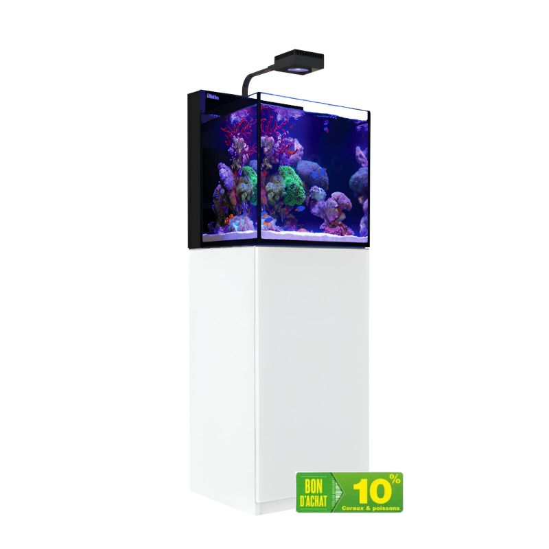 RedSea Max Nano Cube G2 Blanc (Aquarium + Meuble) RedSea Max Nano Cube G2 Blanc (Aquarium + Meuble)