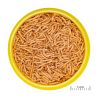 JBL PRONOVO RED INSECT STICK S Aliment de base en bâtonnets Taille S avec friandises d'insectes pour poissons rouges de 3 à 10 c