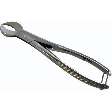 Pince à coraux durs inox "Moon" (18cm)