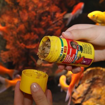 JBL PRONOVO RED FLAKES M Aliment de base en flocons, taille M, pour poissons rouges de 8 à 20 cm 100ml