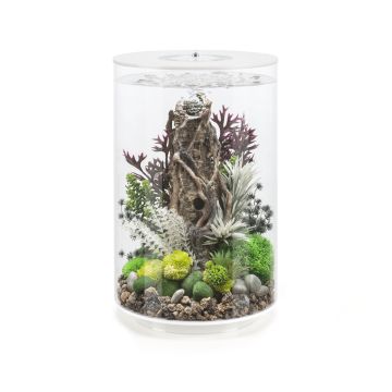 Oase biOrb TUBE 30 LED blanc