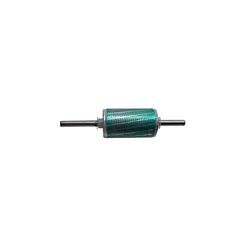 Tunze ref 4002.220 Induit