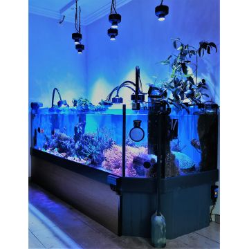 Kessil Reflector - 35