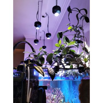 Kessil Reflector - 35