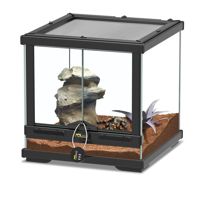 AquatlantisTerrarium Smart Line 30x30x30