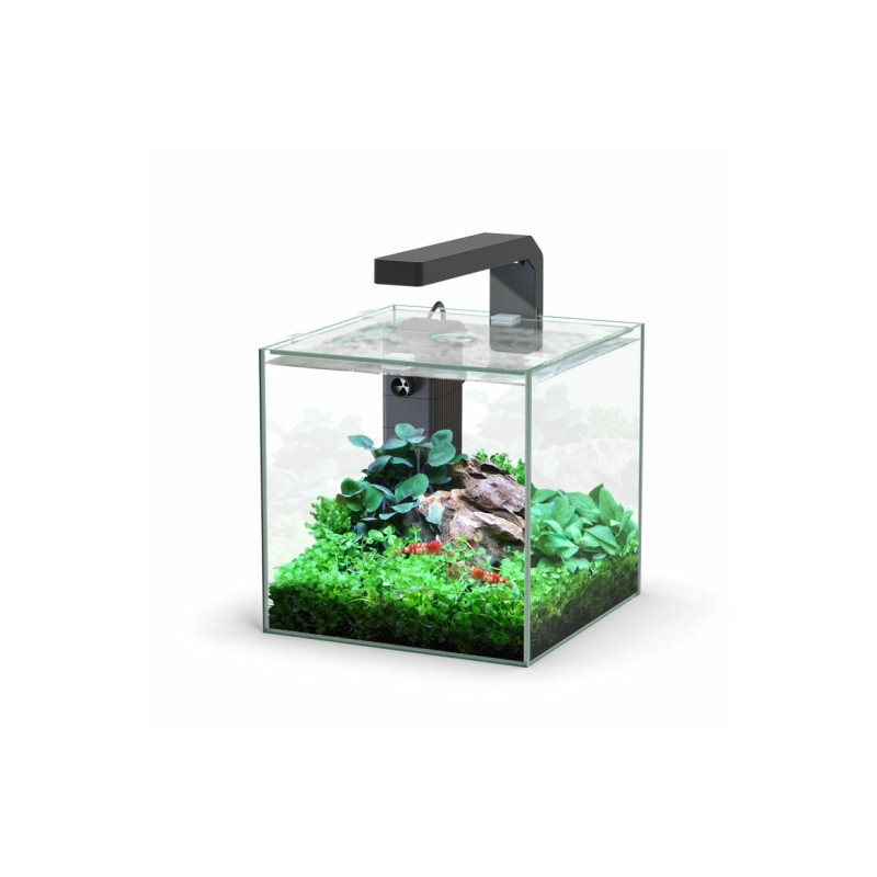 Aquatlantis aquarium Kubus 5L sans équipement