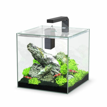 Aquatlantis aquarium Kubus 15L sans équipement