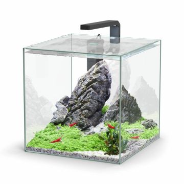 Aquatlantis aquarium Kubus 33L sans équipement