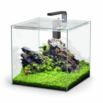 Aquatlantis aquarium Kubus 54L sans équipement
