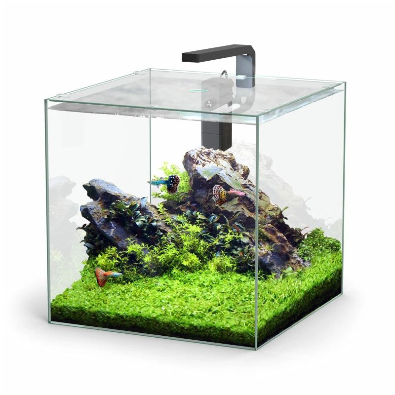 Aquatlantis aquarium Kubus 54L sans équipement Aquatlantis aquarium Kubus 54L sans équipement
