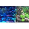 Aquatlantis chauffage EasyKlim 100w volume de l'Aquarium jusqu'à 50/100l