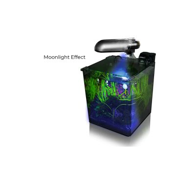Aquatic Nature solar vison 13W silver