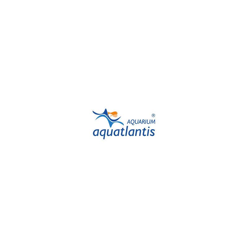 Aquatlantis kit de suspension easyled univeral 0,3mt