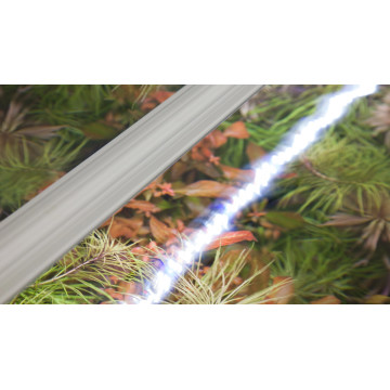 Aquatlantis Easyled Tube 438mm