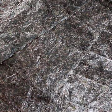 Ocean Nutrition™ Brown Seaweed 10 feuilles (avec clip)