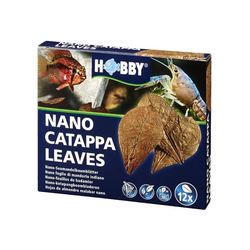 Hobby Nano Catappa Leaves - Feuilles de badamier x12 Hobby Nano Catappa Leaves - Feuilles de badamier x12