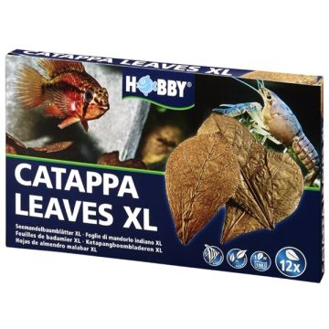 Hobby Nano Catappa Leaves XL - Feuilles de badamier x12