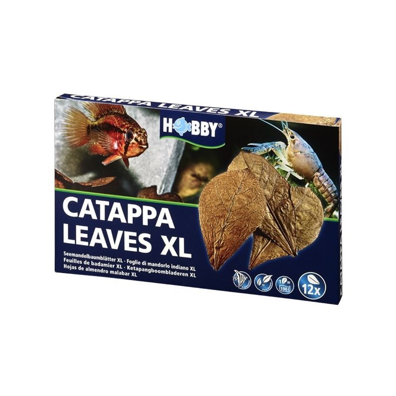 Hobby Nano Catappa Leaves XL - Feuilles de badamier x12