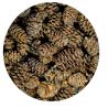 Hobby Alder Cones 50st