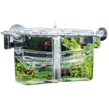 Hobby pondoir flottant nido 4 23x10x11,5 cm
