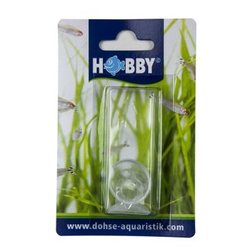 Hobby Ventouses avec trou pour thermomètre 2pcs