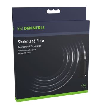 Dennerle Shkae and Flow