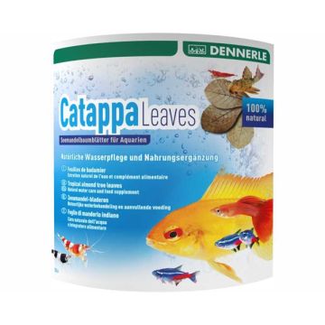Dennerle feuilles de badamier (Cattapa Leaves) 10,90 €