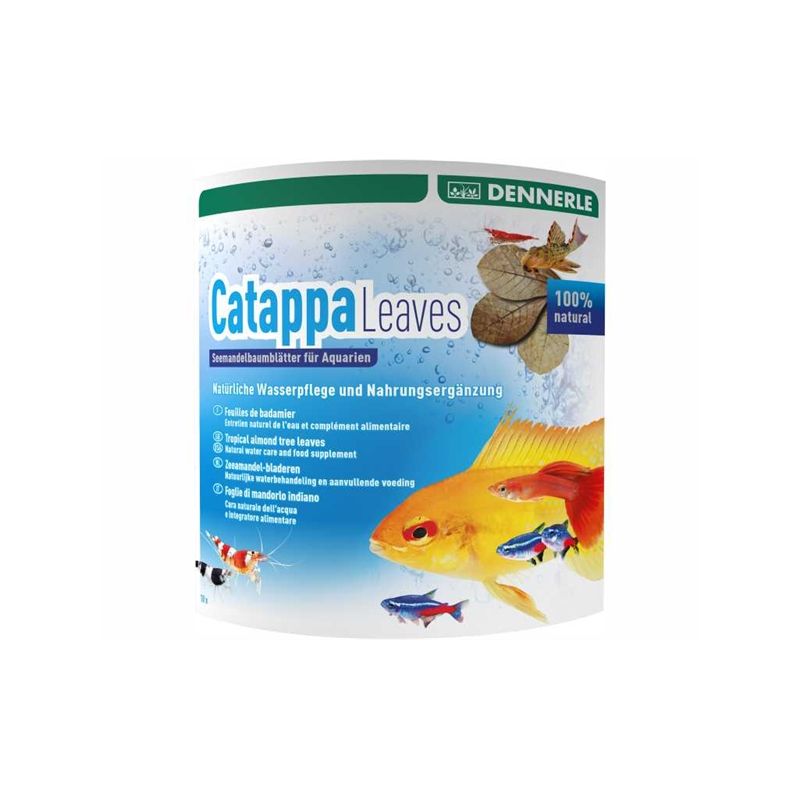 Dennerle feuilles de badamier (Cattapa Leaves) 10,90 €