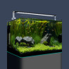 Dennerle Nano Tank Plant Pro 70L