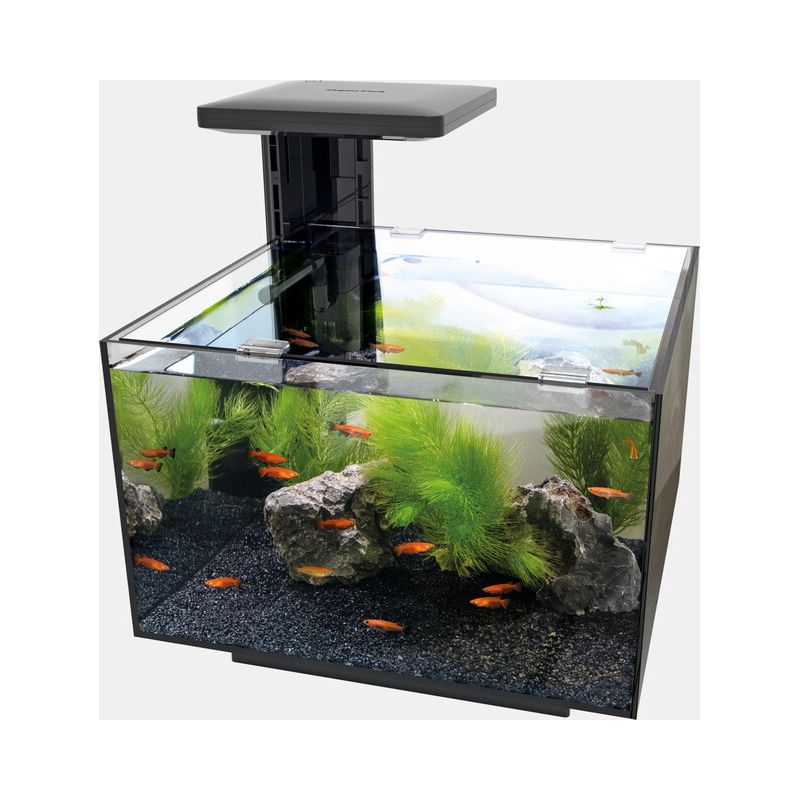 Superfish Qubiq 20