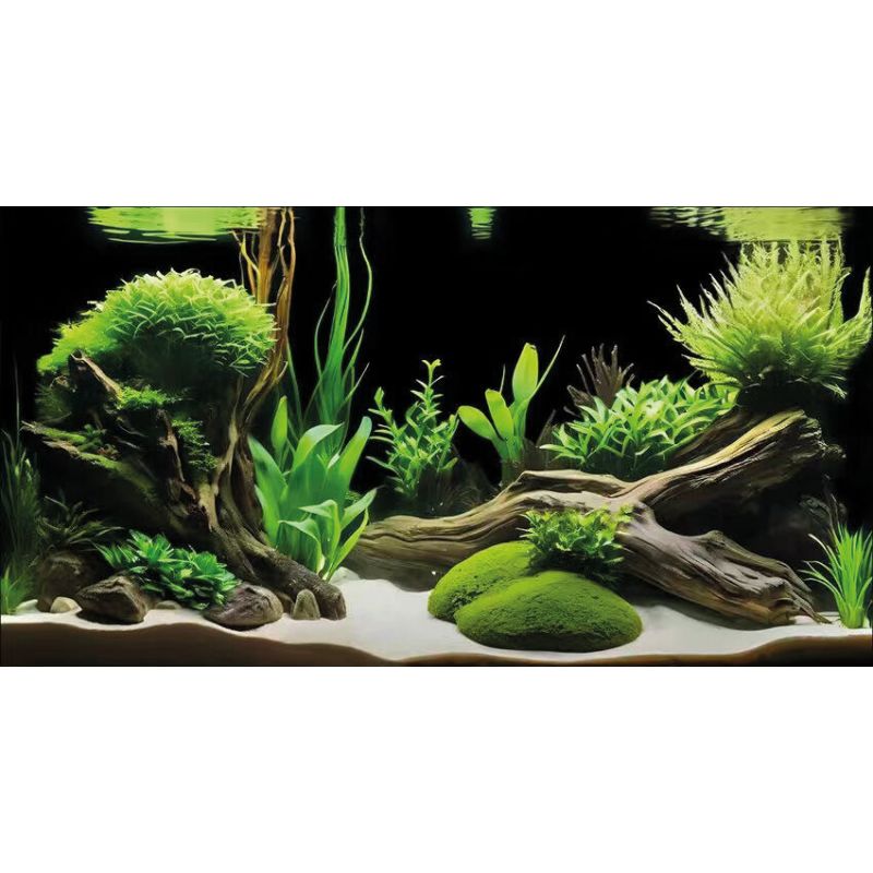 Superfish Deco Poster G1 60x30cm