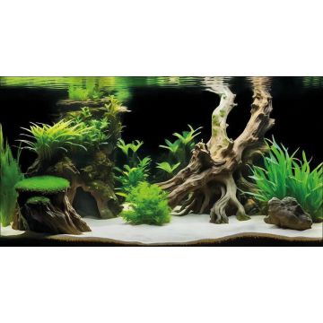 Superfish Deco Poster G2 60x49cm