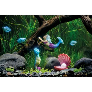 EDEN Coquillage avec perle